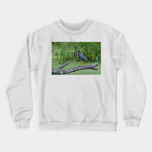 Green Heron wins local fishing contest! Crewneck Sweatshirt